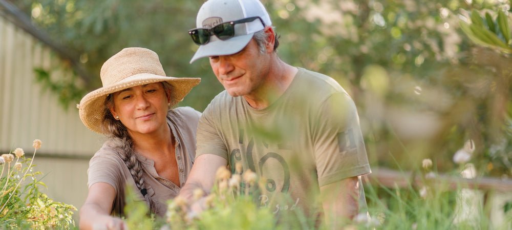 Best Online CBD Products - Life Elements