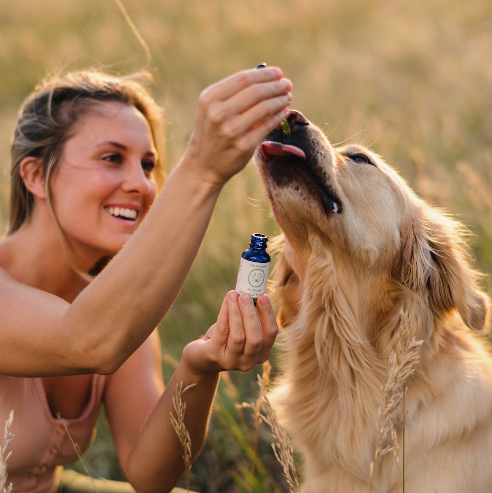 Pet Boost - 300mg | 1fl oz - Life Elements
